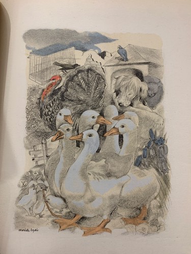 Rostand chantecler - -,