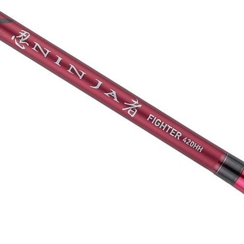 Canne pêche daiwa - canne,