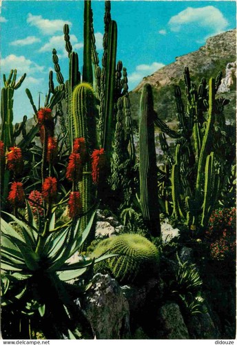 Carte postale fleurs - fleurs,