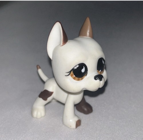 Hasbro lps original - ,