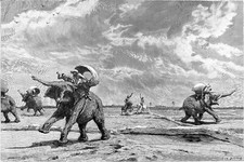LAOS - CARAVANE d'ÉLÉPHANTS