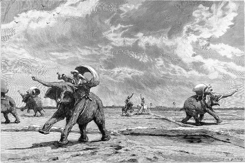 Laos caravane d éléphants - laos, d'ÉlÉphants
