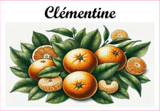 Clémentine 12 sticker vinyle