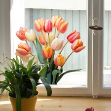 Autocollant 3D En Forme De