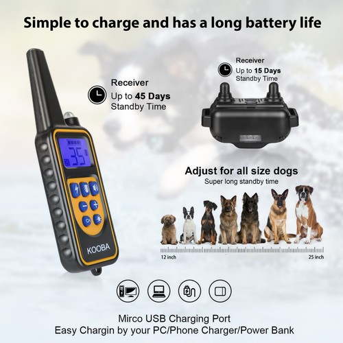 Collier dressage chien - chien, 800m