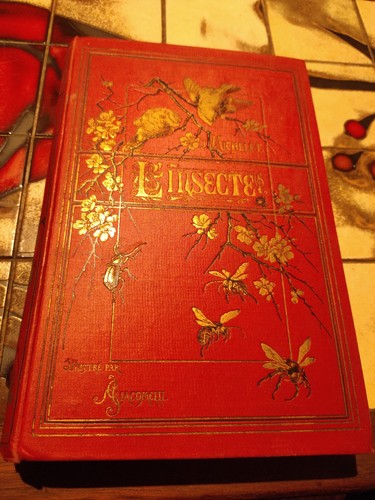 Insecte par michelet - insecte, j