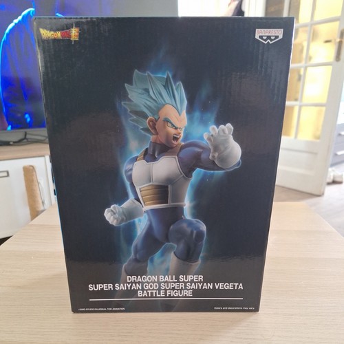 Vegeta super saiyan god - god,