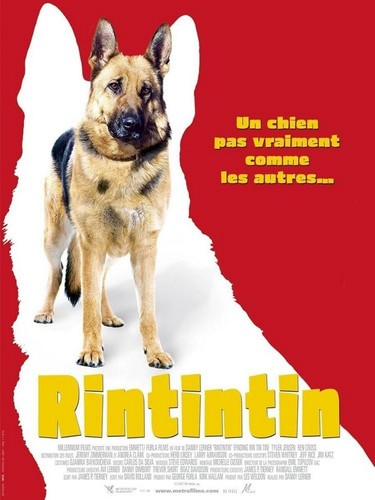 Rintintin affiche cinéma - affiche,