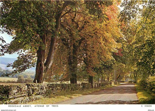 Carte postale angleterre - -,