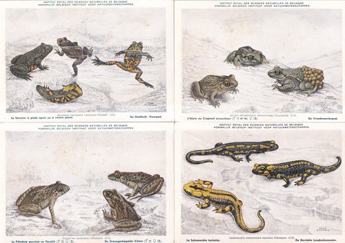 Lot cartes postales - lot, 4