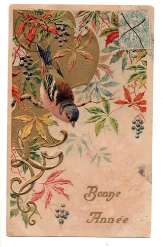 Jolie cpa embossée - embossée, oiseau