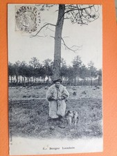 Old postcard Mont de Marsan LANDES ÉCASSE SHEPHERD LANDAIS SHEEP Miss BAUDUER de GABARRET