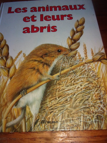 Les animaux leurs - animaux, abris