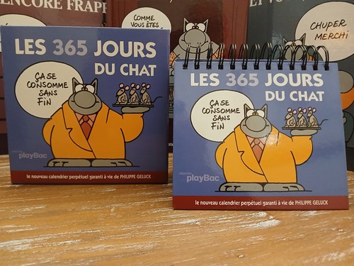 Calendrier perpétuel chat - calendrier,