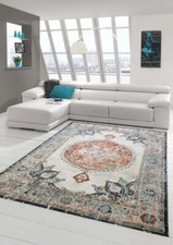 Tapis oriental de salon d'extérieur vintage coloré