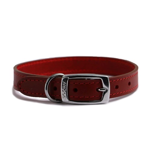 Heritage collier pour chien - heritage,