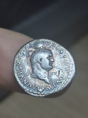244 titus denier - titus,