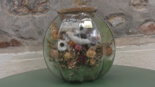Grand pot verre avec fleurs - pot,