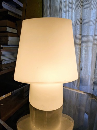 Lampe champignon flore - champignon,