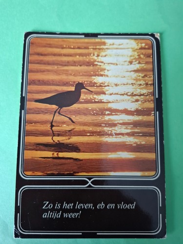Carte postale belgique - carte, gf