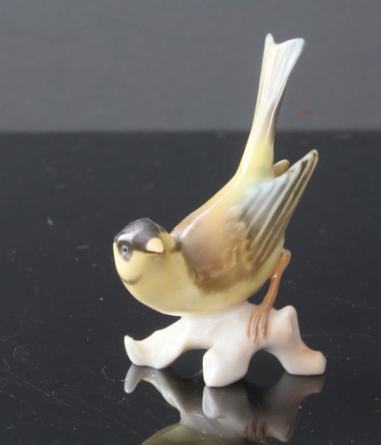 Joli petit oiseau - joli,