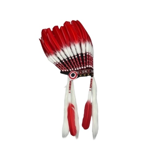 Coiffe plumes déguisement - à,