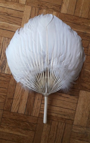 Eventail plumes blanches - en,