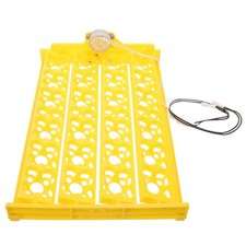  Couveuse Oeufs Plateaux