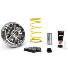 Variateur 5114263 Malossi