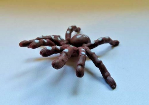Grosse araignee mygale - araignee,