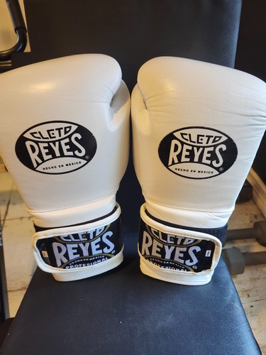 Cleto reys training gloves - training,