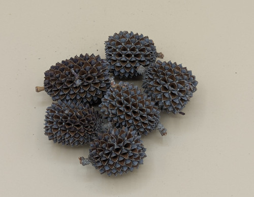 Décorations naturelles