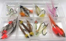 Mouche Pêche Eau de Mer Mouche Sélection Paquet De 24 Mouche avec Gratuit Boite