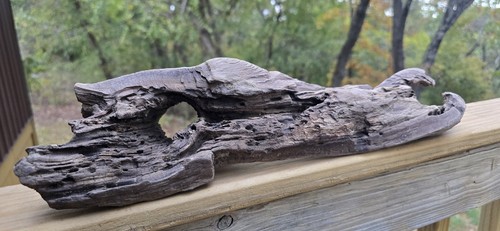 17x4 long driftwood - 17x4",