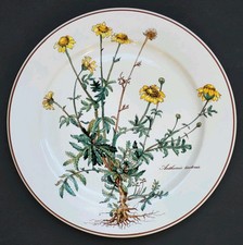 Sublime ASSIETTE PLATE signée