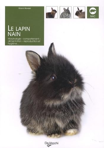 Lapin nain morphologie - nain:,