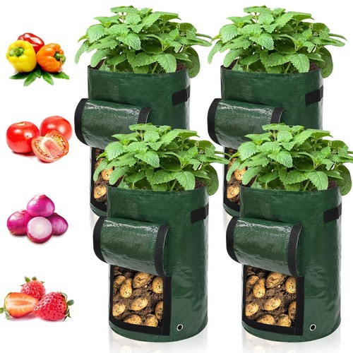 Ram lot sacs de - 4,