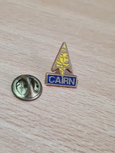 Pin pins - pin's,