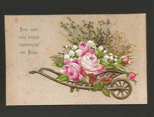 Image roses fleurs - roses,