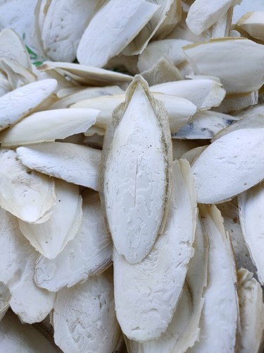 1kg vrac seiche entiers - os, de