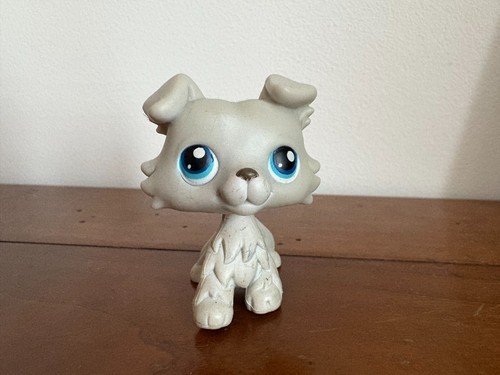 Petshop colley 363 - petshop, n°363