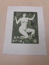 CURIOSA / Suite de 8