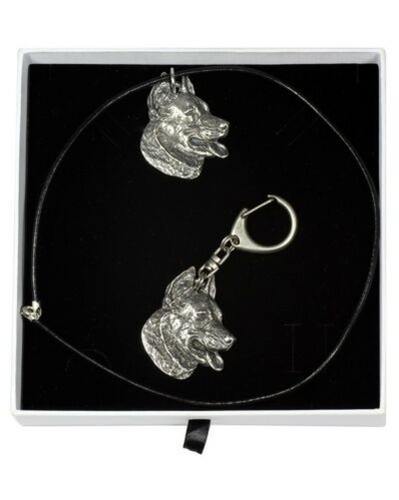 Beauceron set le - beauceron, chien
