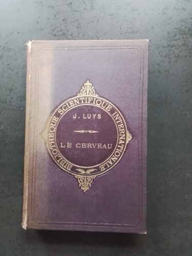 Cerveau ses fonctions - cerveau, et