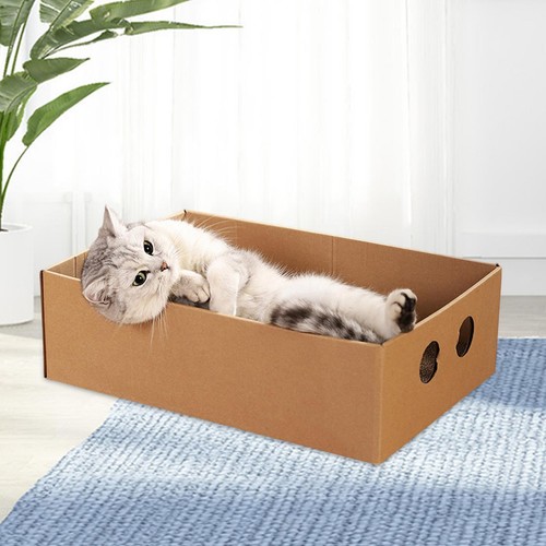Griffoir pour chat - pour, chat,