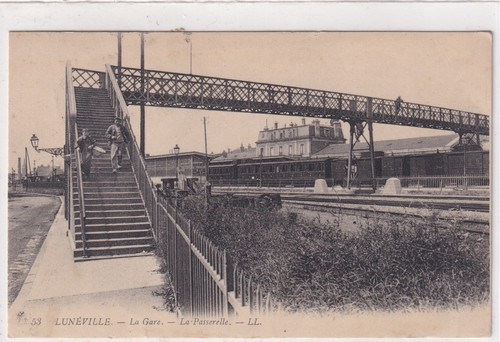Postcard cartes postale - 🦬postcard/cartes,