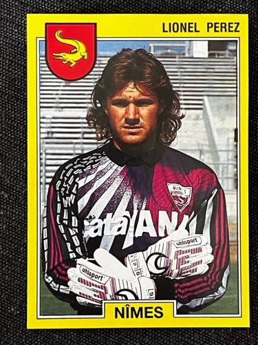 Vignette sticker panini - panini, foot