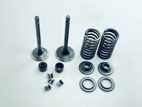 Engine valve spring seat seal - valve,