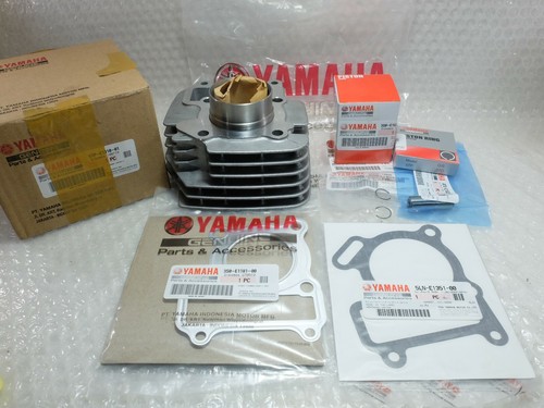 Kit piston barillet cylindre