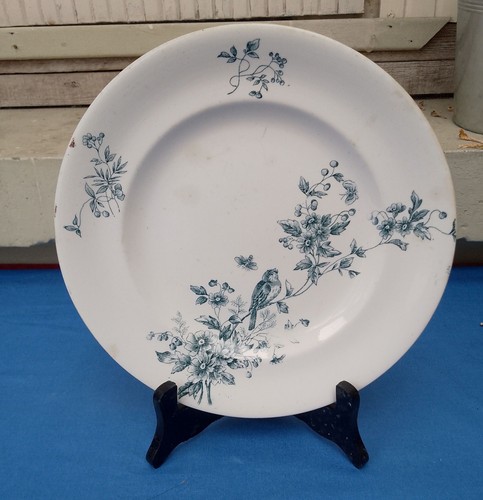 Assiette plate ancienne longwy - plate,